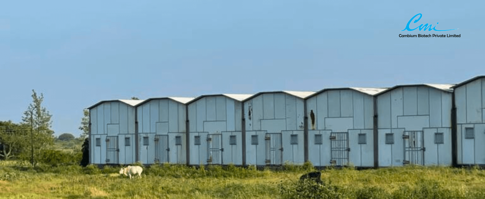 Mushroom Growing Rooms at Cambium Biotech Private Limited Mushroom Growing Rooms at Cambium Biotech Private Limited